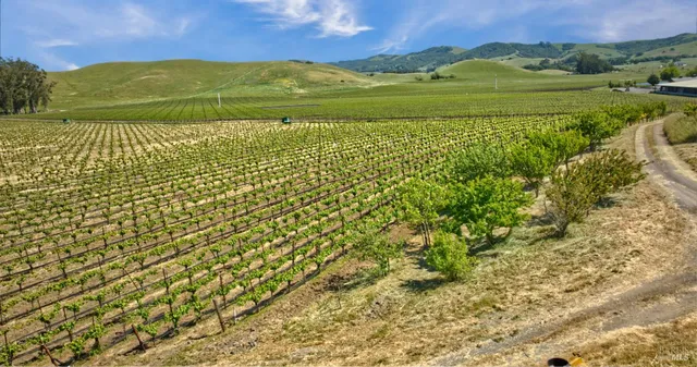 a view of a field of an ocean