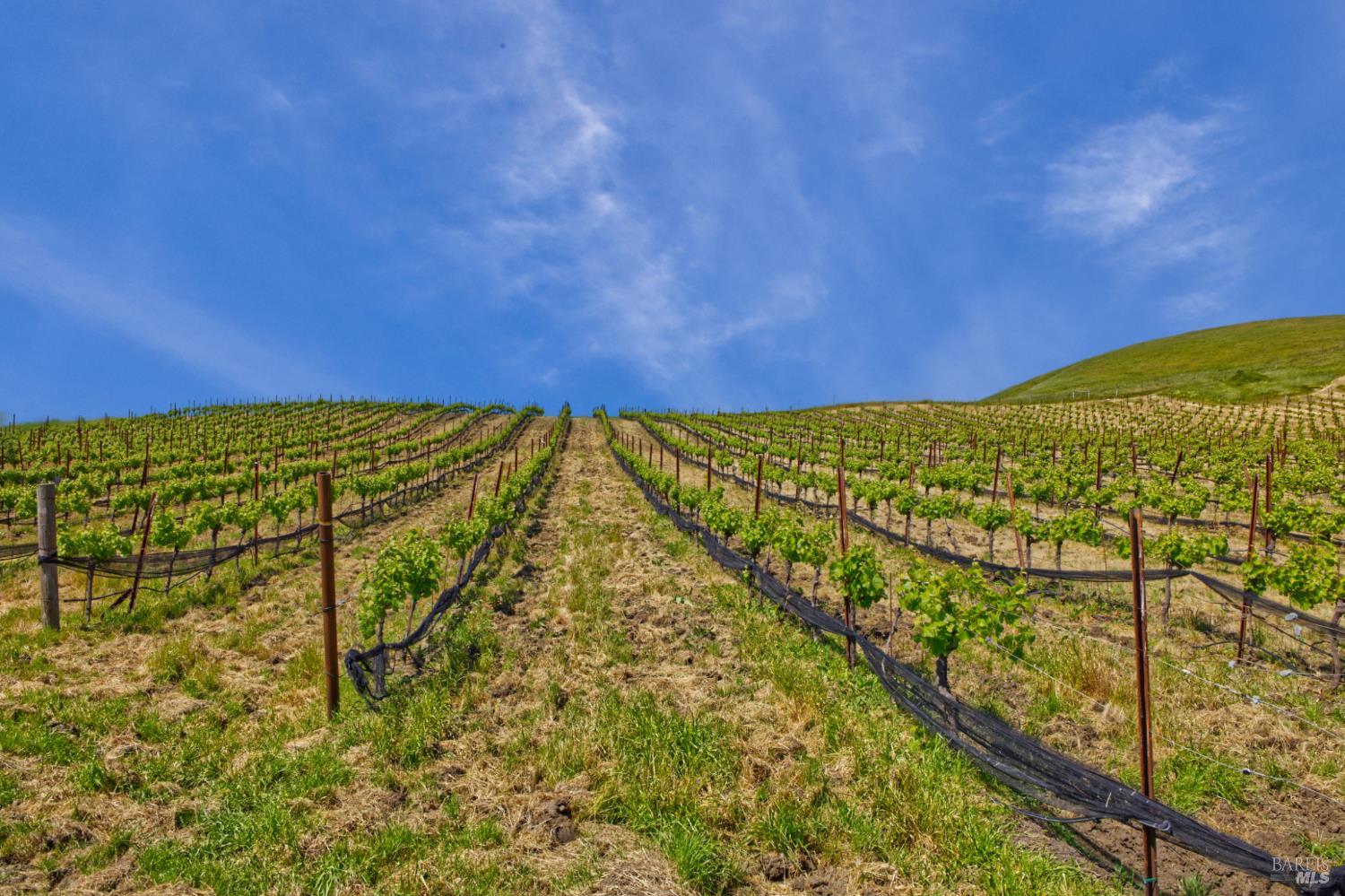 2590 Chileno Valley Road Petaluma, CA 94952 - Photo 36 of 59 a view of a blue sky view
