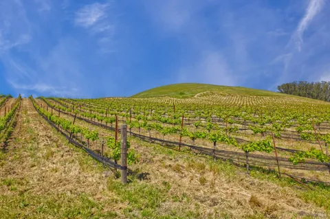 a view of an ocean with a mountain