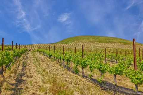 a view of a swimming pool with a yard
