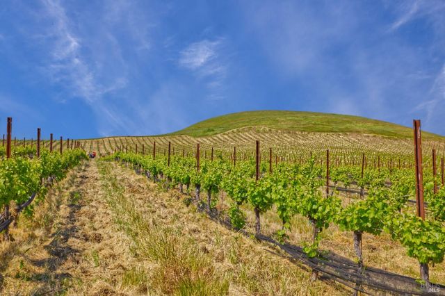 a view of a swimming pool with a yard