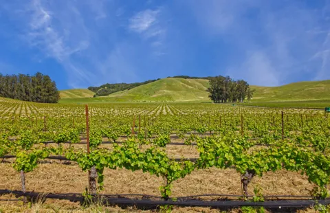 a view of an ocean and a mountain view
