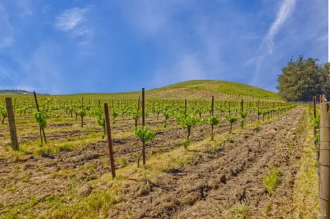 a view of a field with an ocean beach