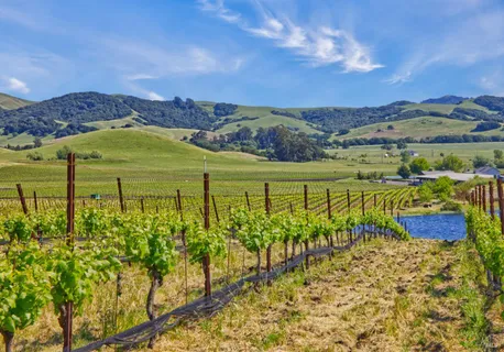 a view of a lake with a mountain in the background