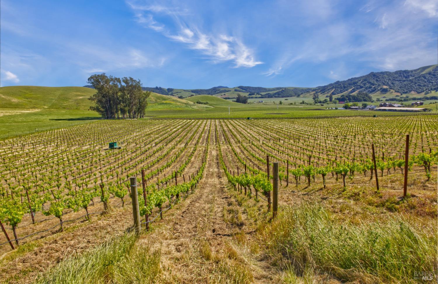 2590 Chileno Valley Road Petaluma, CA 94952 - Photo 42 of 59