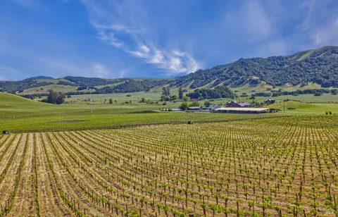 a view of an outdoor space and a yard