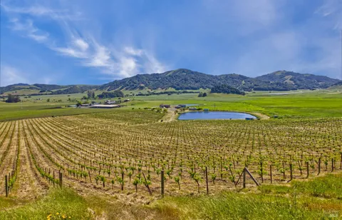 a view of a street with a building in the background
