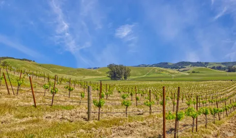 a view of an outdoor space