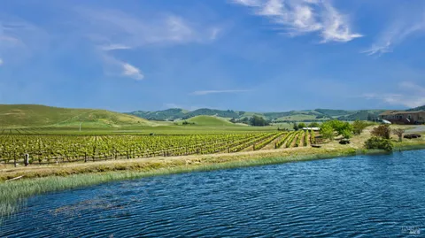 a view of a field of an ocean