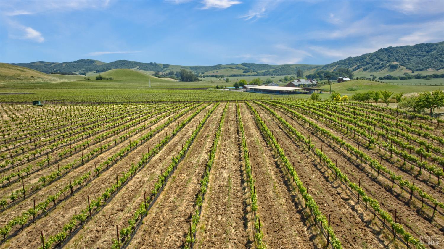 2590 Chileno Valley Road Petaluma, CA 94952 - Photo 47 of 59