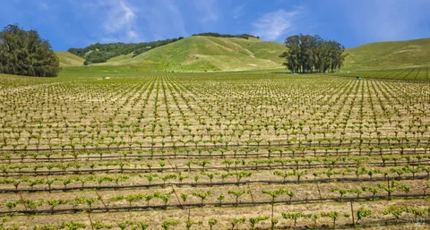 a view of an outdoor space and a yard