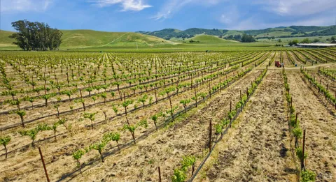 a view of a lush green hillside and a mountain view