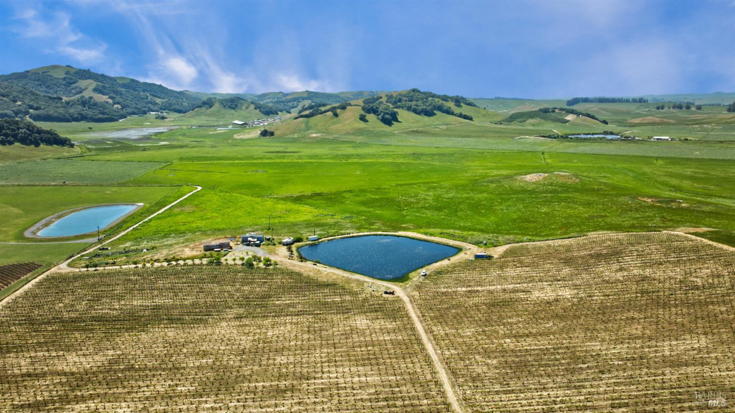 2590 Chileno Valley Road Petaluma, CA 94952 - Photo 54 of 59 a view of a field of an ocean