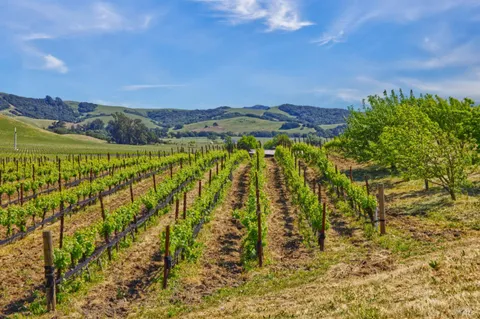 $2,995,000 | 2590 Chileno Valley Road, Petaluma, CA 94952