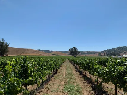 $2,995,000 | 2590 Chileno Valley Road, Petaluma, CA 94952