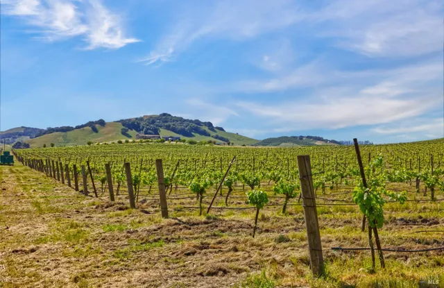 a view of a building