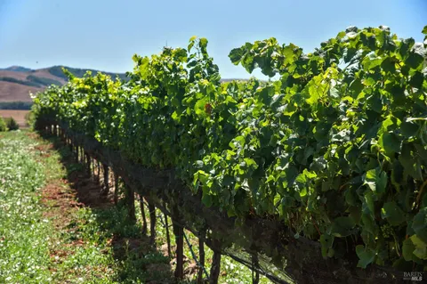 a view of a lake with a mountain in the background
