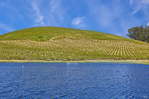 a view of an outdoor space and a yard