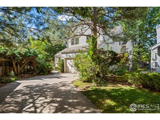 a view of a yard with plants and trees