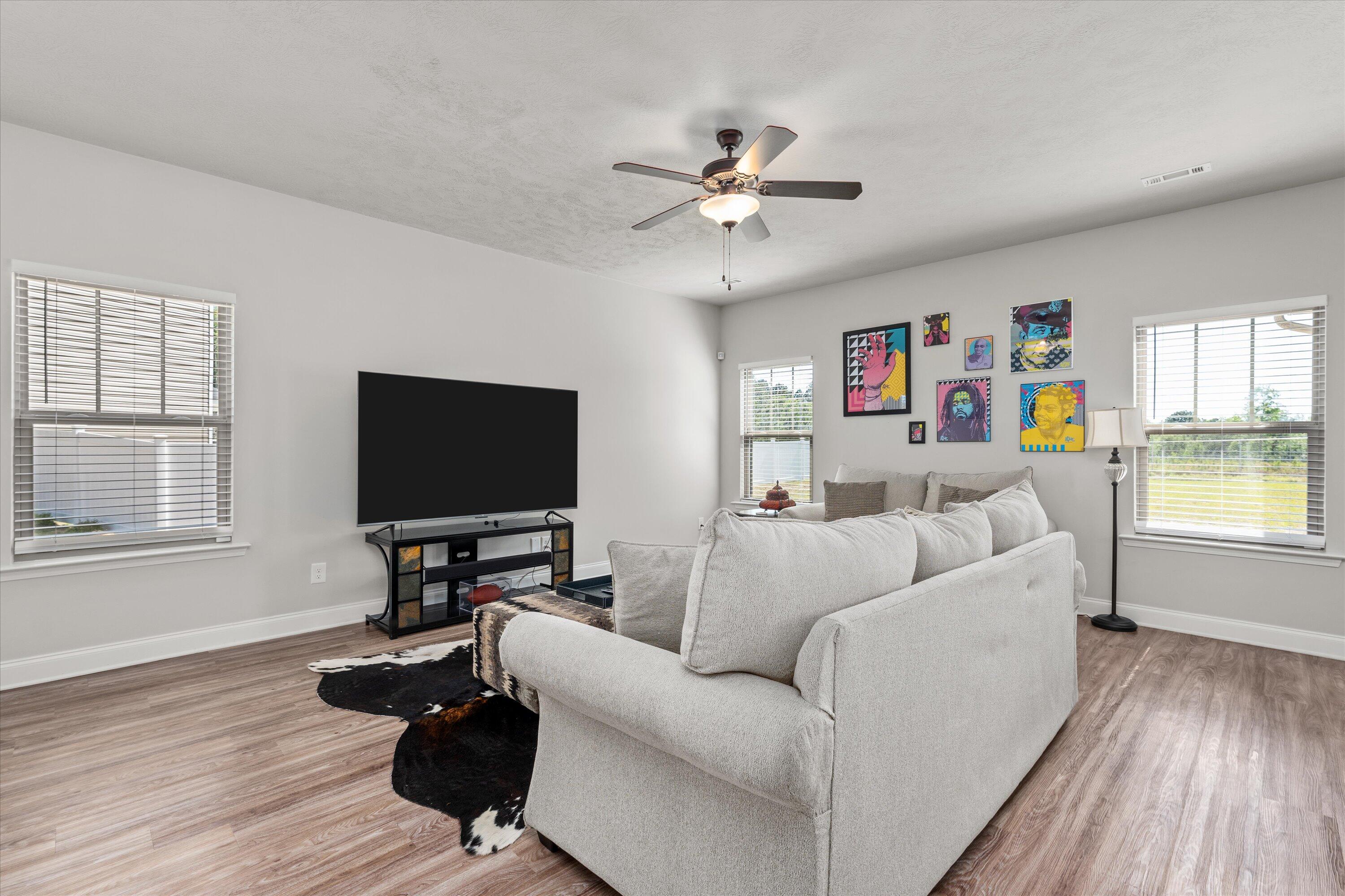 4243 Fringetree Loop New Ellenton, SC 29809 - Photo 5 of 34