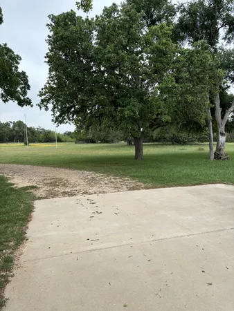 a view of a trees with a yard