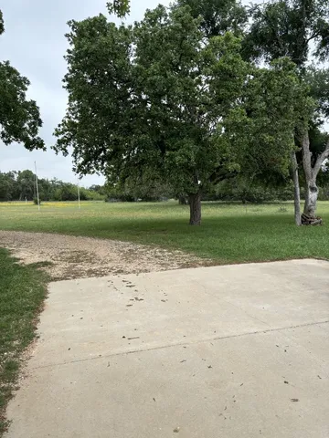 a view of a yard with a tree