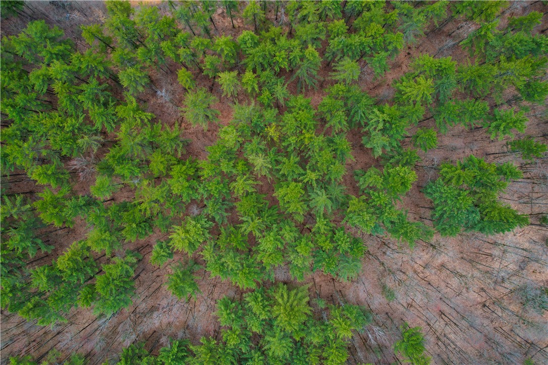 7 Baldwin Road Lowville, NY 13367 - Photo 8 of 10