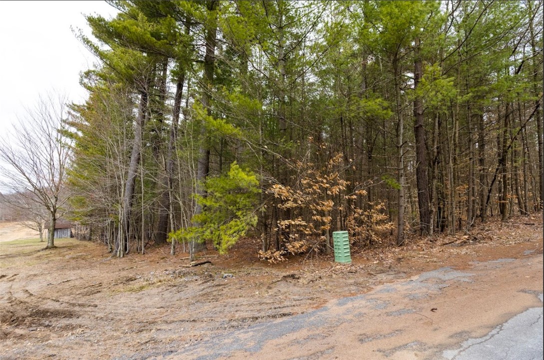 7 Baldwin Road Lowville, NY 13367 - Photo 10 of 10