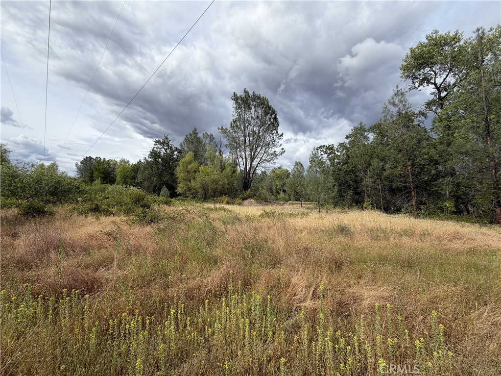 0 Ophir Road Oroville, CA 95966 - Photo 17 of 29 a view of a green field