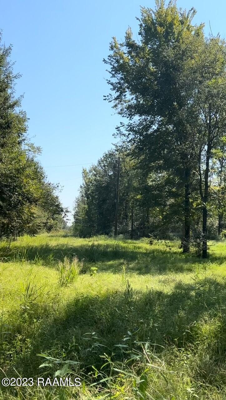 903 Benoit Road Carencro, LA 70520 - Photo 12 of 14 Gallery Image 12