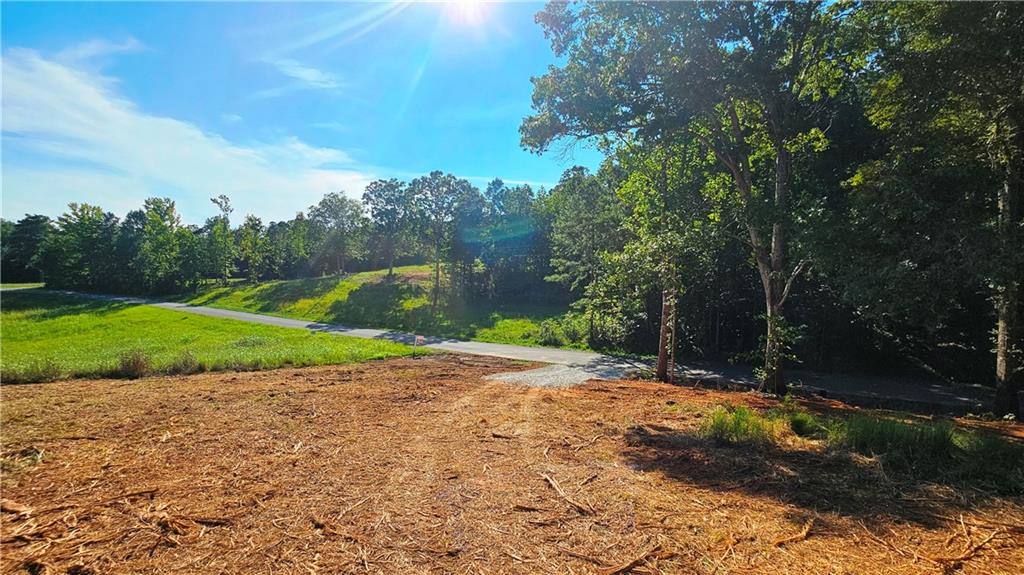 Lot 2 Snote Jones Road Dallas, GA 30132 - Photo 11 of 22 Gallery Image 11
