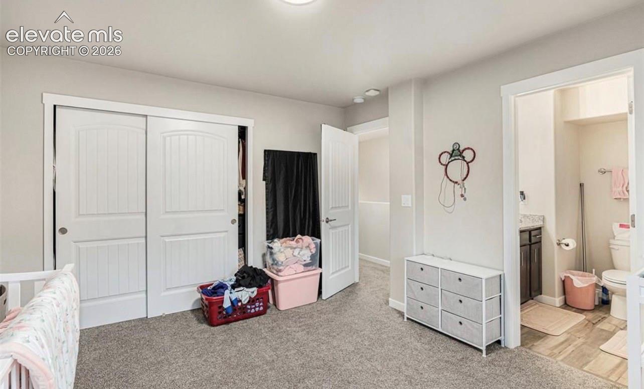 5233 Palomino Ranch Point Colorado Springs, CO 80922 - Photo 13 of 20 Gallery Image 13