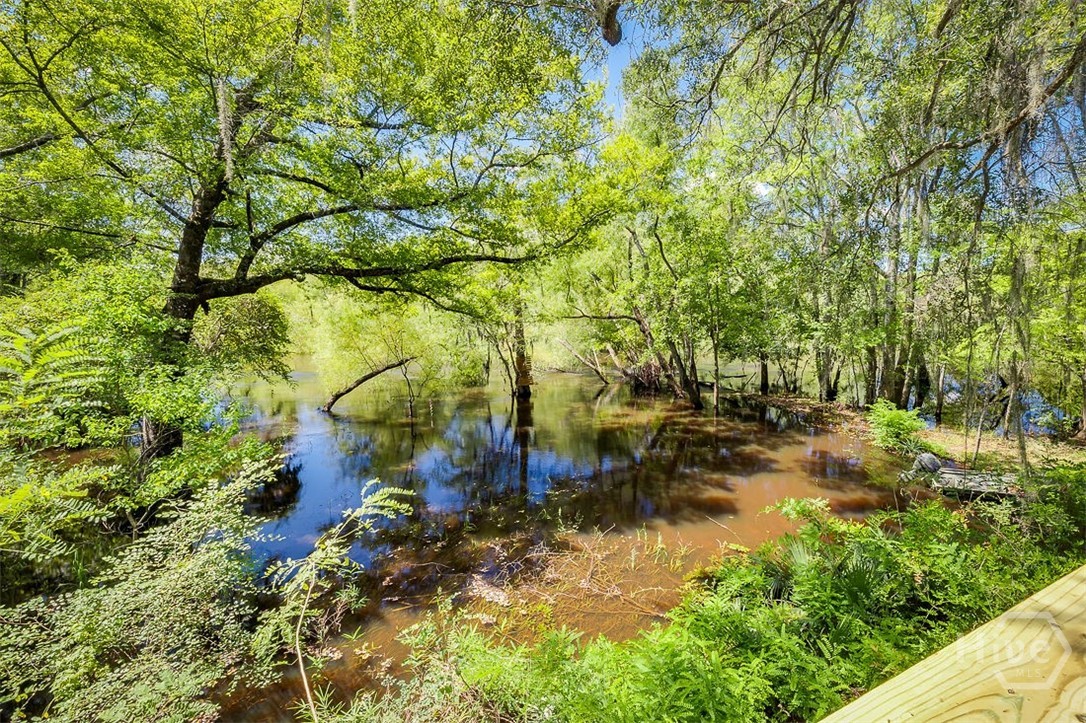 444 Harvey Road Bloomingdale, GA 31302 - Photo 29 of 38