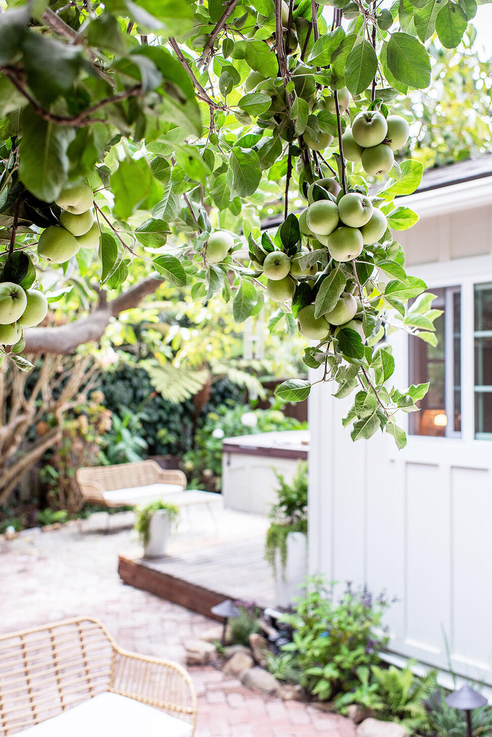 126 Loureyro Road Montecito, CA 93108 - Photo 22 of 46 a view of a yard with plants