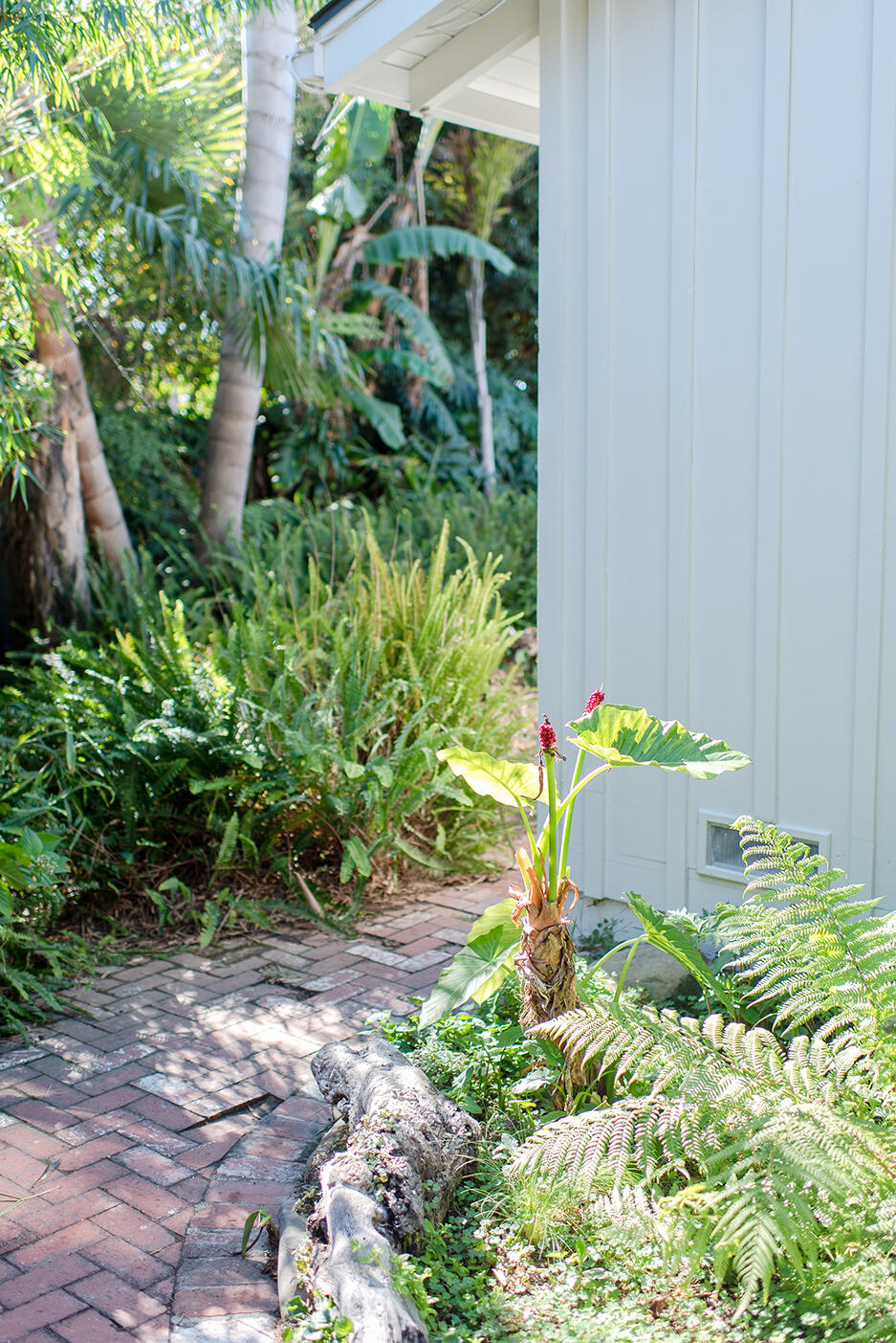 126 Loureyro Road Montecito, CA 93108 - Photo 27 of 46 a green field with flowers in front of it