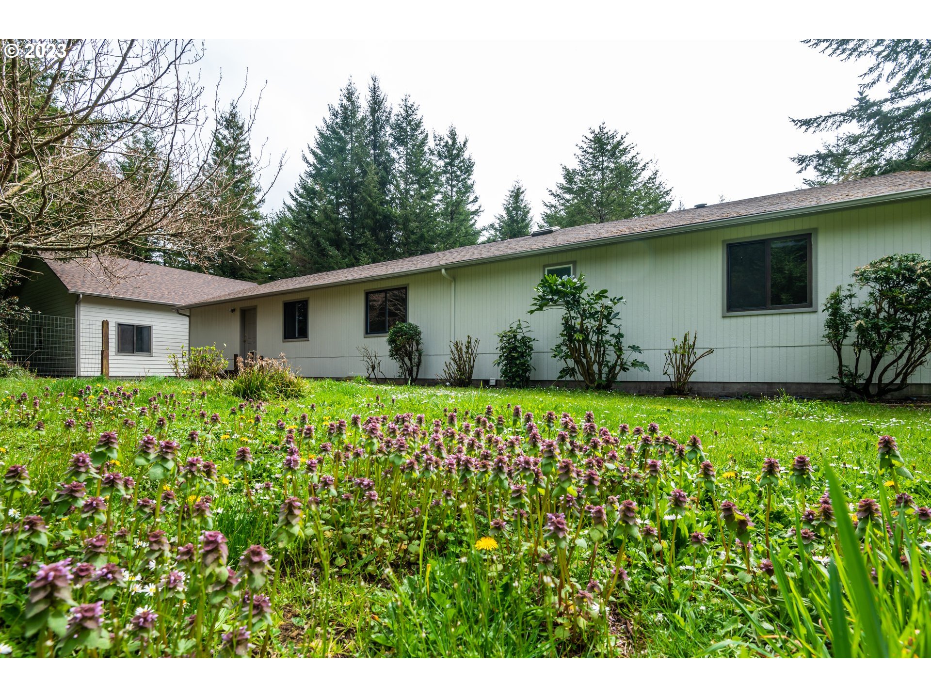 87763 Two Mile Lane Bandon, OR 97411 - Photo 5 of 41 a house with a big yard