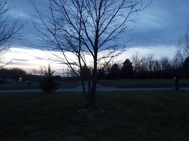 2010 Lipscomb Road Moneta, VA 24121 - Photo 2 of 19 DSCN2342