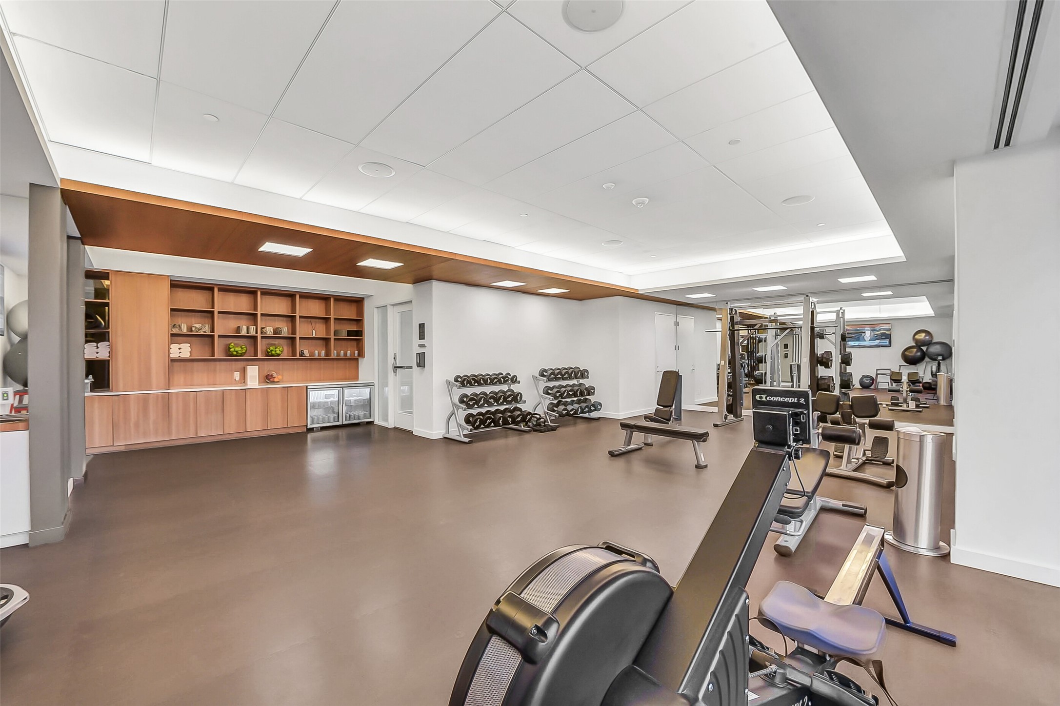 1111 Caroline Street, Unit 2903 Houston, TX 77010 - Photo 21 of 27 A dedicated strength training area equipped with professional-grade weight machines and free weights.
