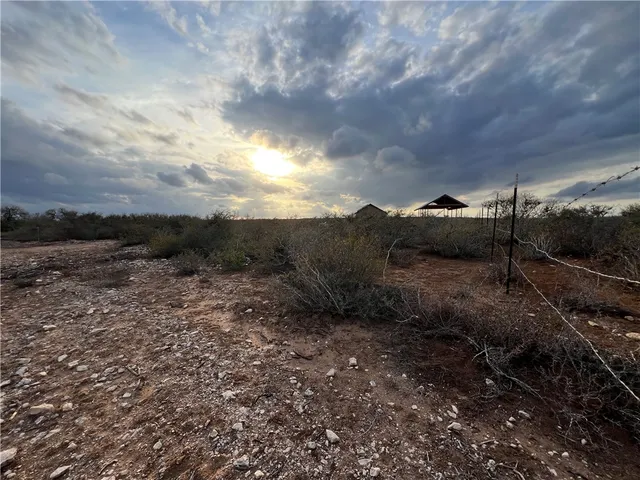 a view of a dry yard with wooden fence