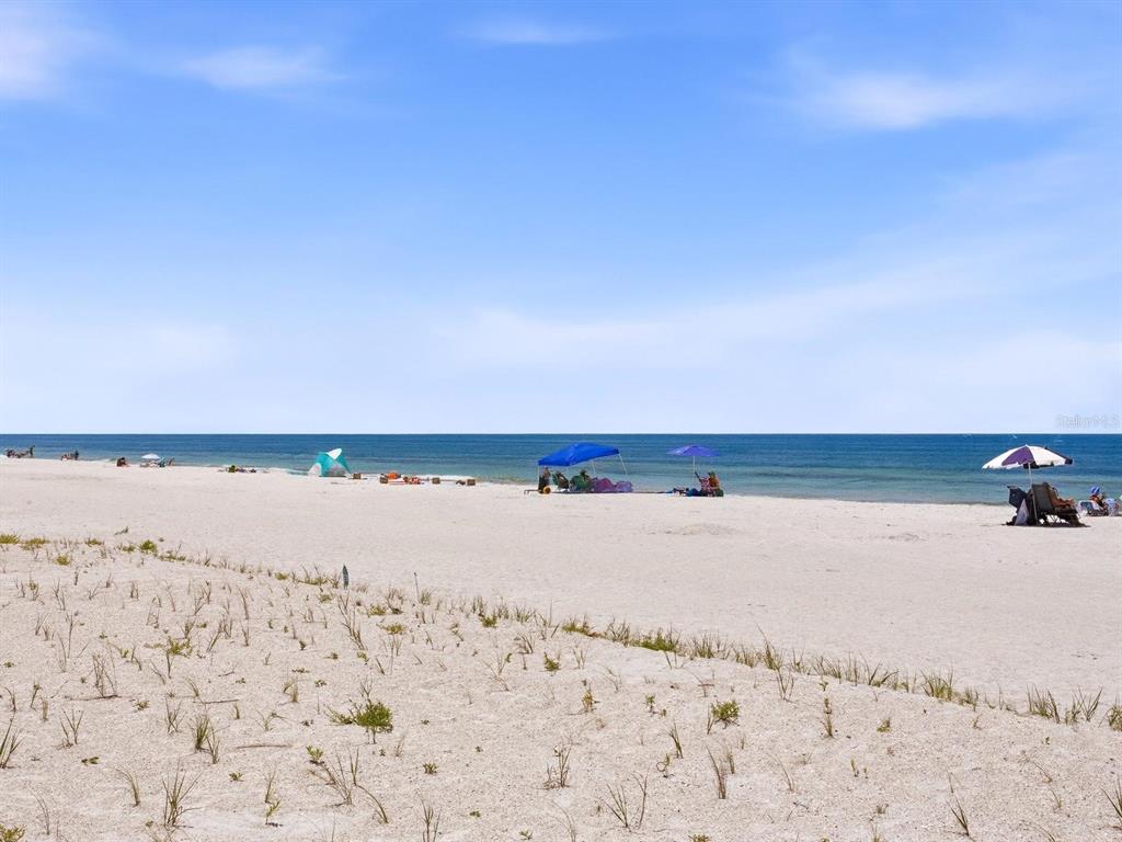 1005 Gulf Boulevard, Unit 10 Indian Rocks Beach, FL 33785 - Photo 51 of 70