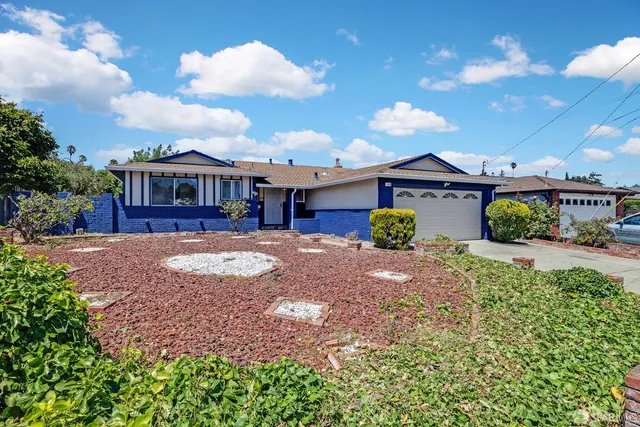 a view of a house with a yard and potted plants