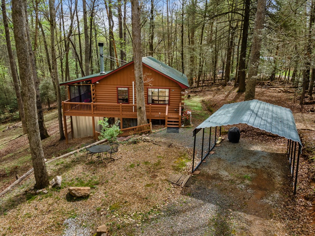 159 Pack Creek Road Blue Ridge, GA 30513 - Photo 4 of 42 Gallery Image 4