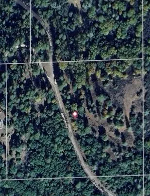 a view of a yard with plants and trees