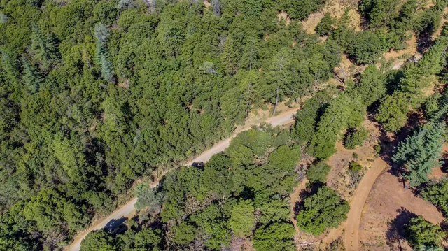 a view of a dry yard with trees