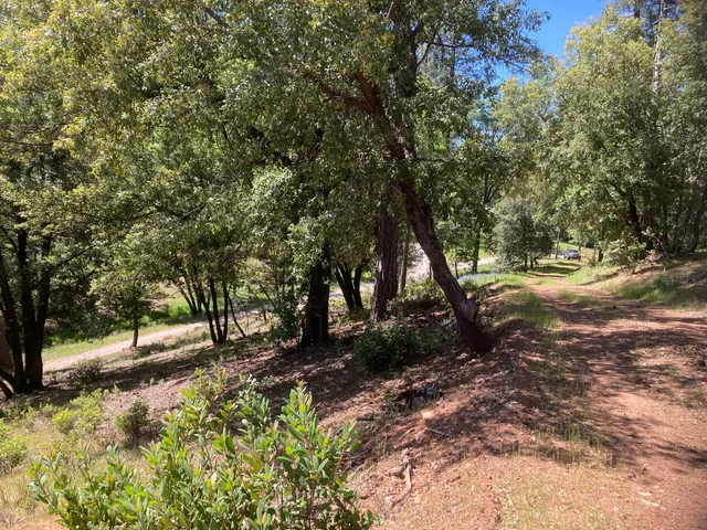 a view of a yard with wooden fence