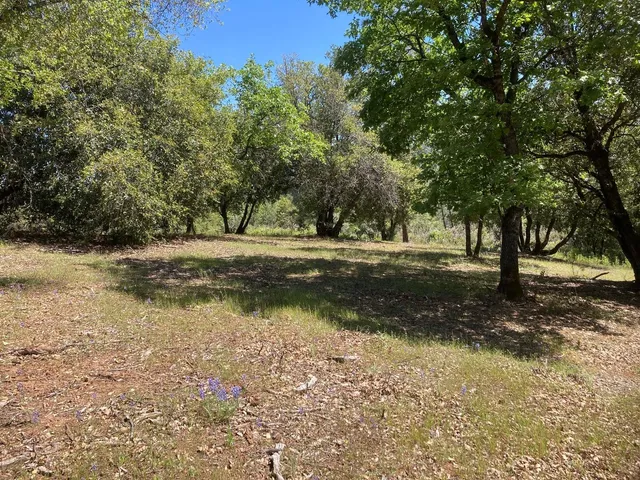 a view of an ocean and beach