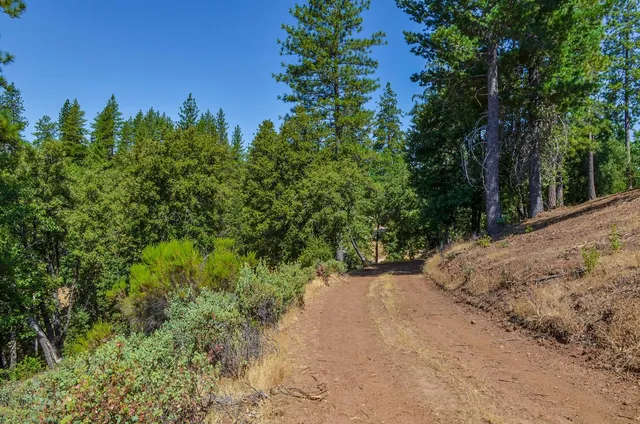 a view of a yard with a tree