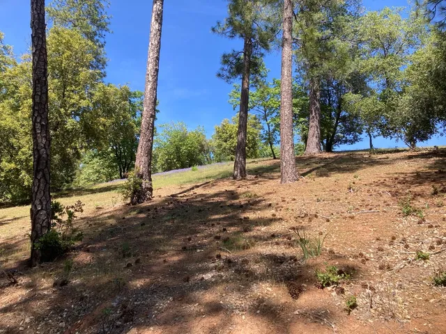 a view of a yard with an outdoor space