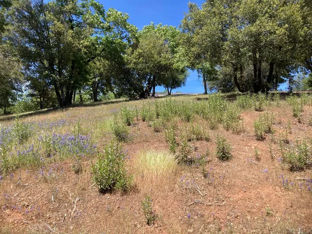 a view of a backyard of the house