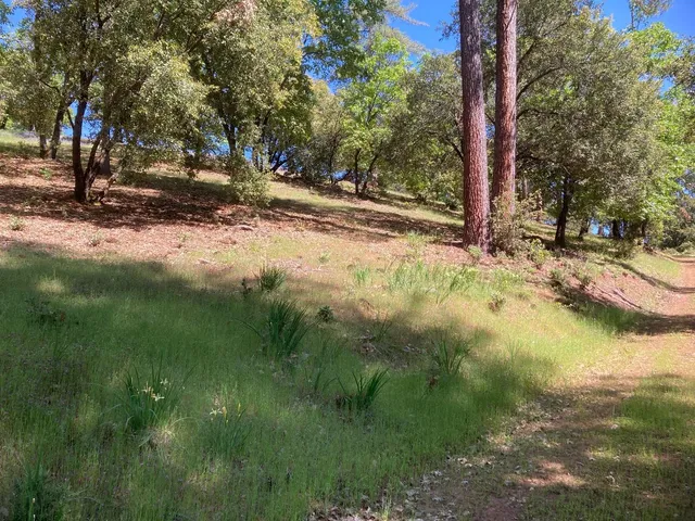 a view of a yard with a house